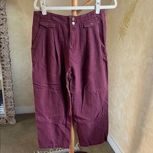 Pilcro Women's Cropped Pants in Purple